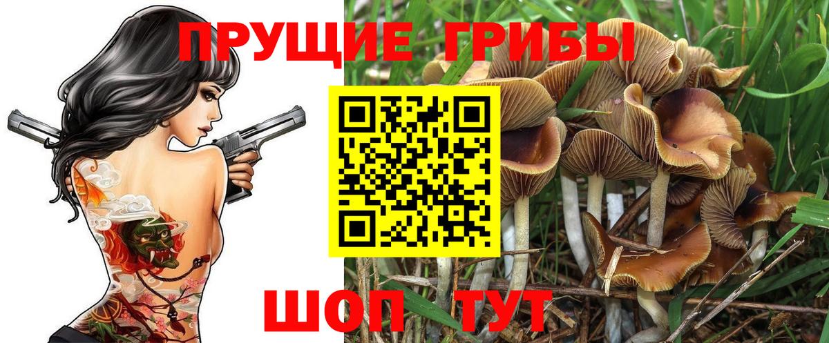 Псилоцибиновые грибы ЛСД Удомля