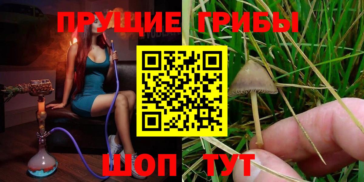 Псилоцибиновые грибы MAGIC MUSHROOMS  Вход с VPN  Удомля 